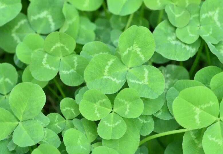 1650982481320561.jpg 3.jpg