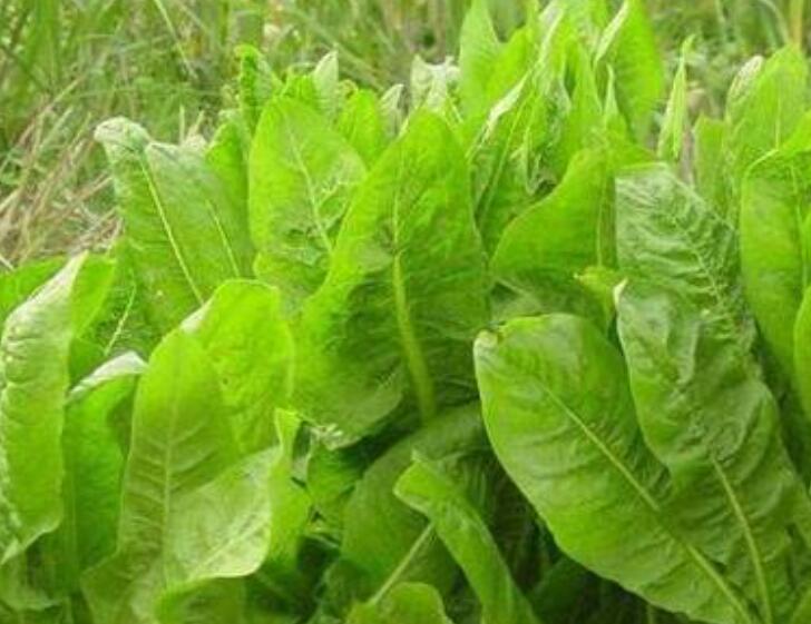 1650984616918044.jpg 3.jpg