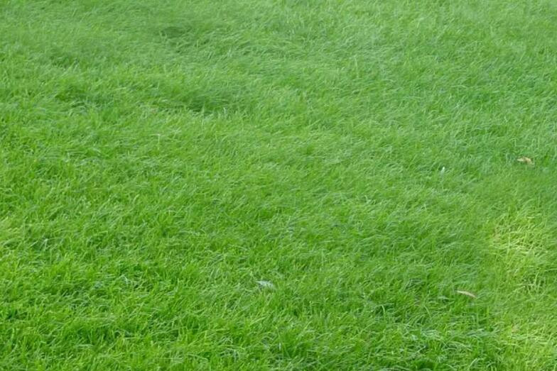 1651586920864631.jpg 3.jpg