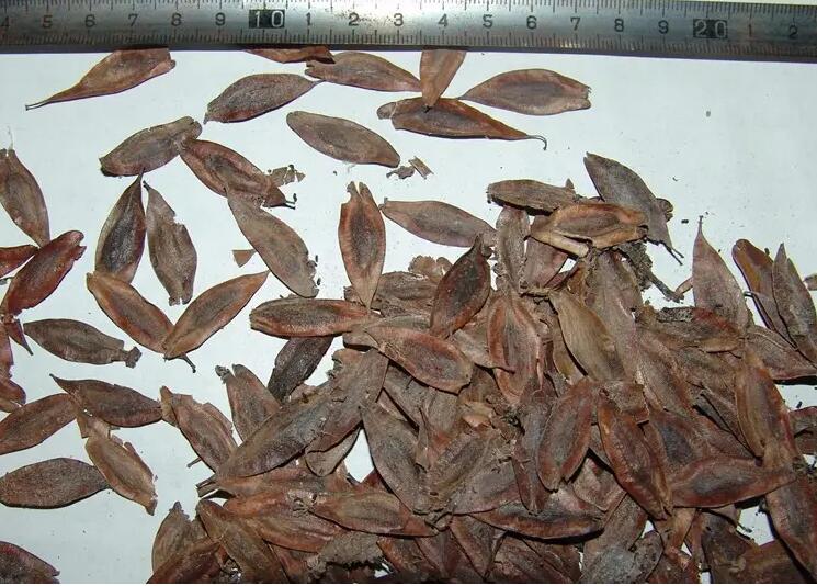 1651669040404855.jpg 1651669040404855.jpg