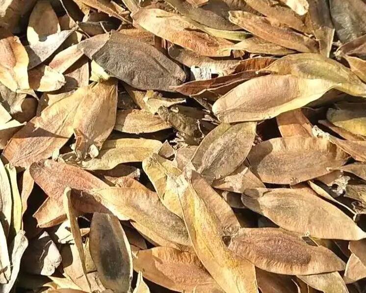 1651669040545393.jpg 1651669040545393.jpg