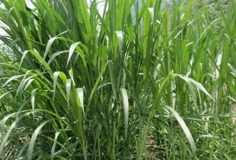 1651836776596655.jpg 1651836776596655.jpg