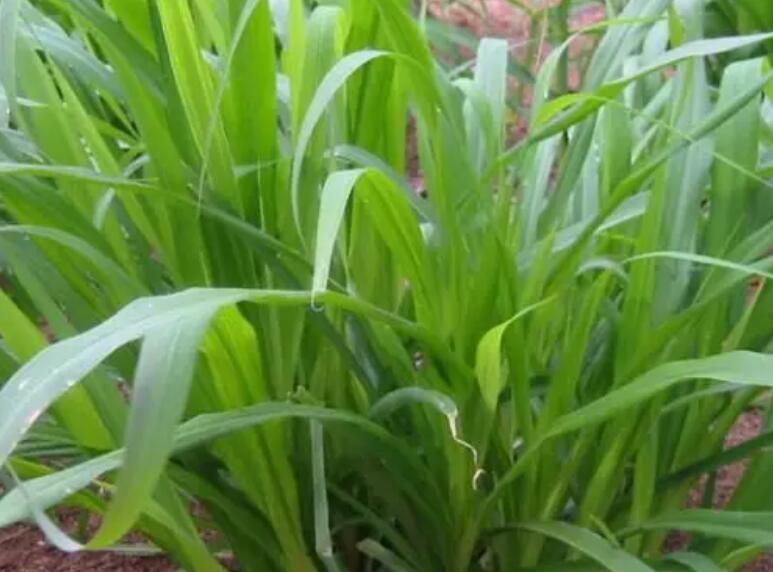 1651836787473809.jpg 1651836787473809.jpg