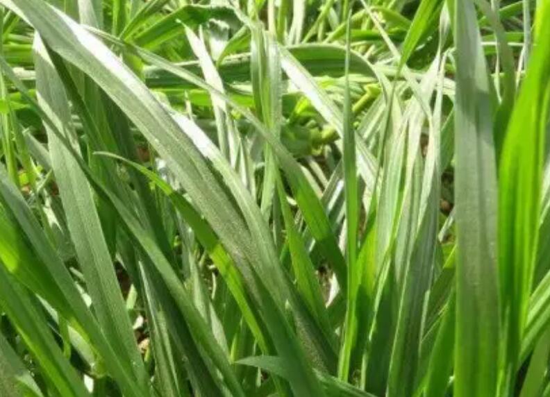 1652875622980623.jpg 1652875622980623.jpg