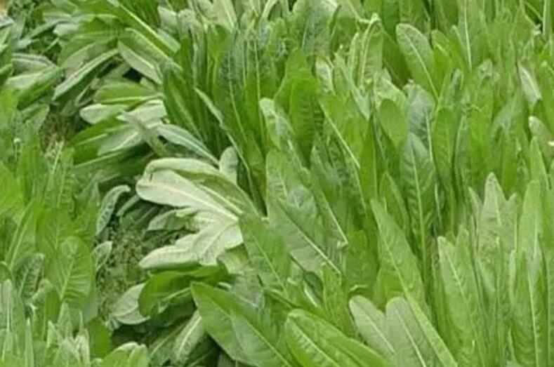 1652875632192806.jpg 1652875632192806.jpg