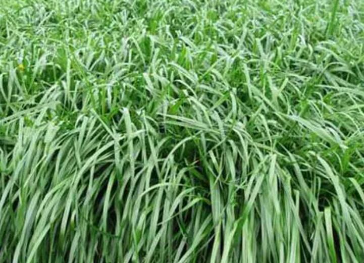 1653139650727428.jpg 2.jpg