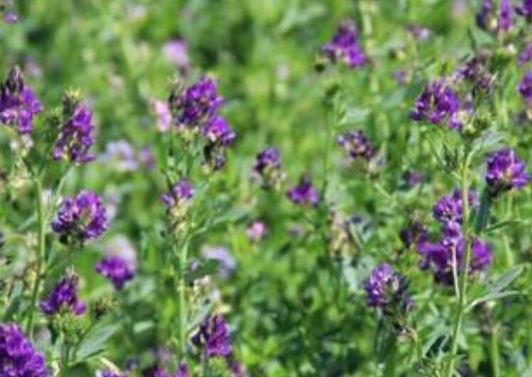 1653139658147511.jpg 3.jpg