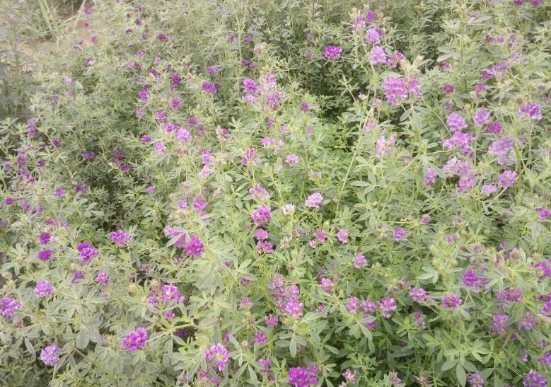 1653486034879123.jpg 1653486034879123.jpg