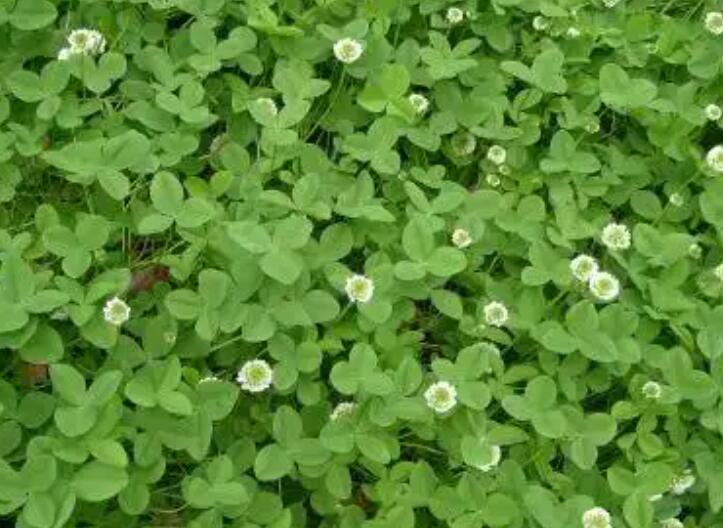 1653572598308839.jpg 2.jpg