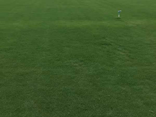 1653617363434552.jpg 1653617363434552.jpg