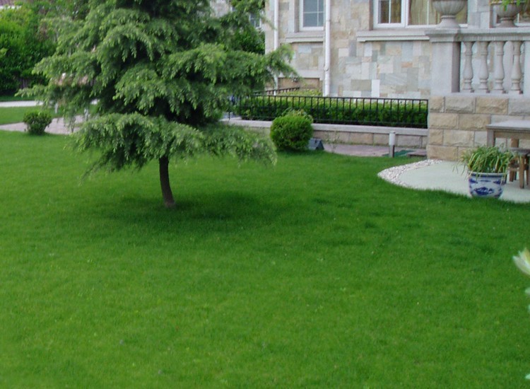 1653630821540587.jpg 1653630821540587.jpg