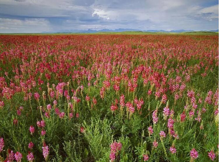 1654246811707312.jpg 1654246811707312.jpg