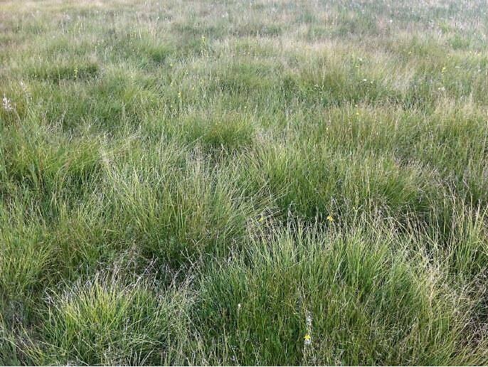 1654311349758881.jpg 1654311349758881.jpg