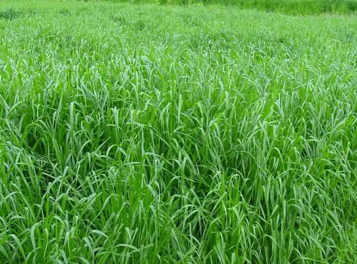 1654520763943807.jpg 3.jpg