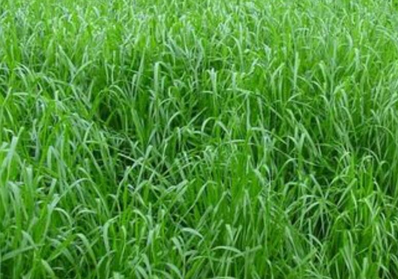 1654521313942247.jpg 2.jpg