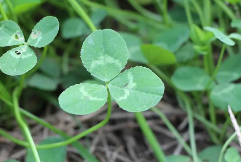 1654667438524182.jpg 2.jpg