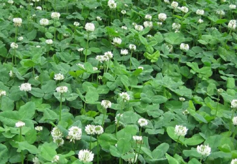 1654667479287848.jpg 3.jpg