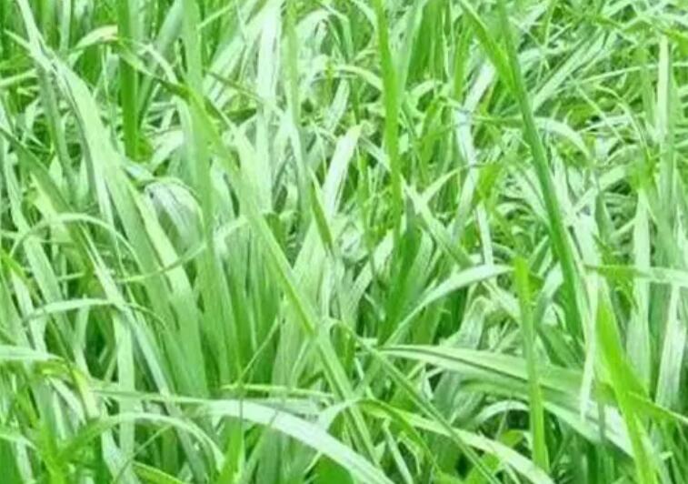 1654697888354616.jpg 2.jpg