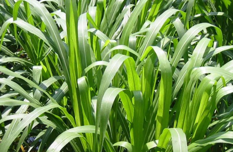 1654783899933191.jpg 1.jpg