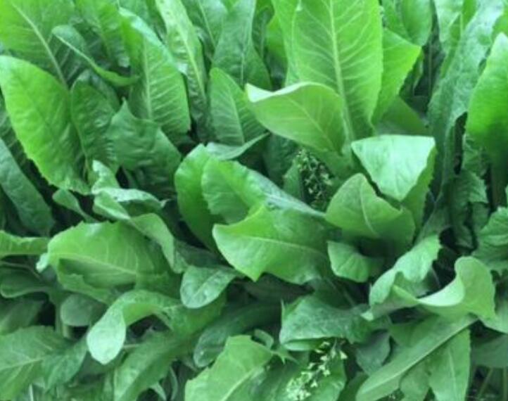 1654784369695152.jpg 3.jpg