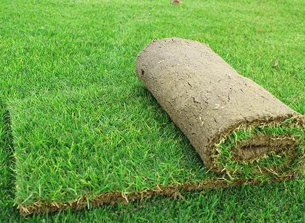 1657109348227973.jpg 1657109348227973.jpg