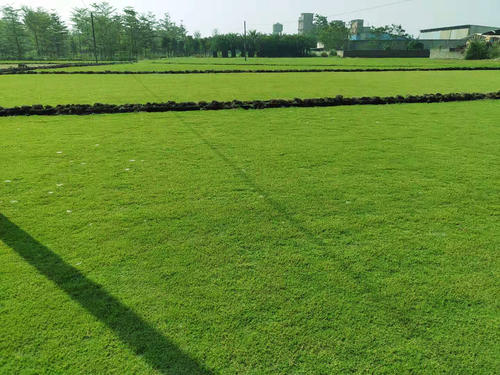 1657195487356080.jpg 1657195487356080.jpg