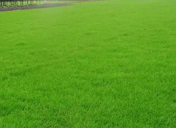 1657198662690123.jpg 1657198662690123.jpg