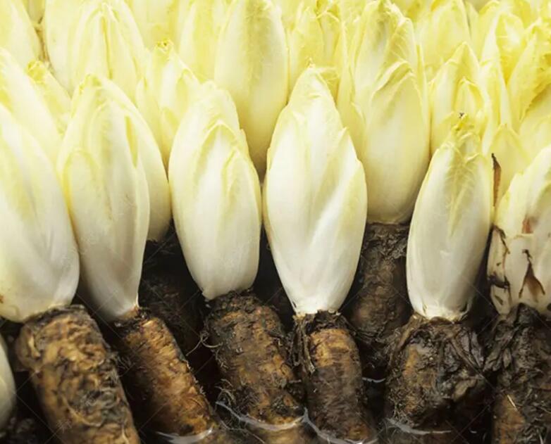 1657230828692614.jpg 1657230828692614.jpg