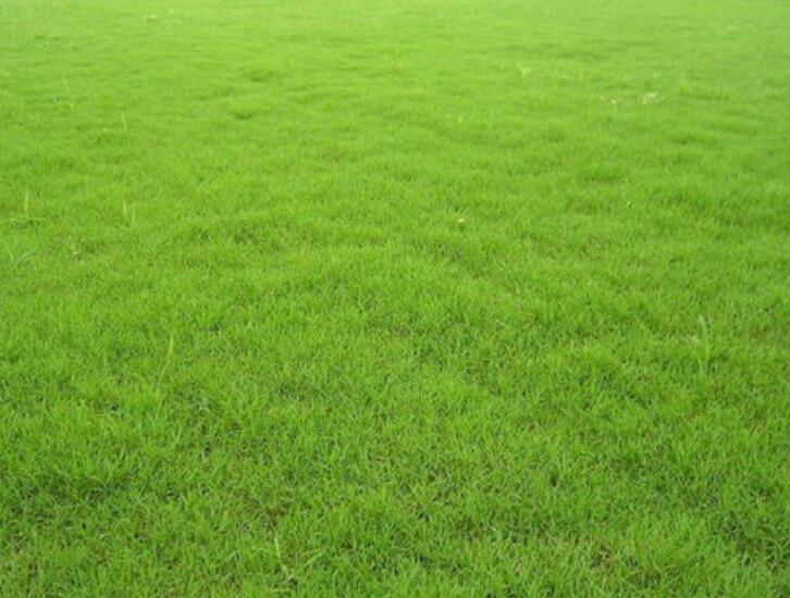 1657287593590341.jpg 1657287593590341.jpg