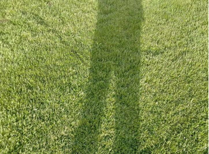 1657287593778843.jpg 1657287593778843.jpg