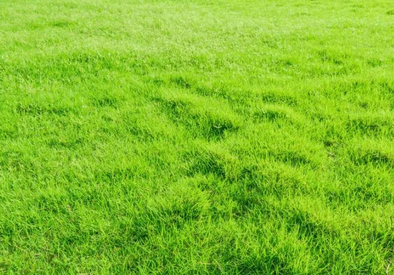 1657370669429935.jpg 1.jpg