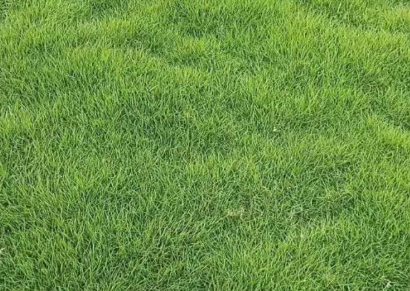 1657542491207434.jpg 3.jpg