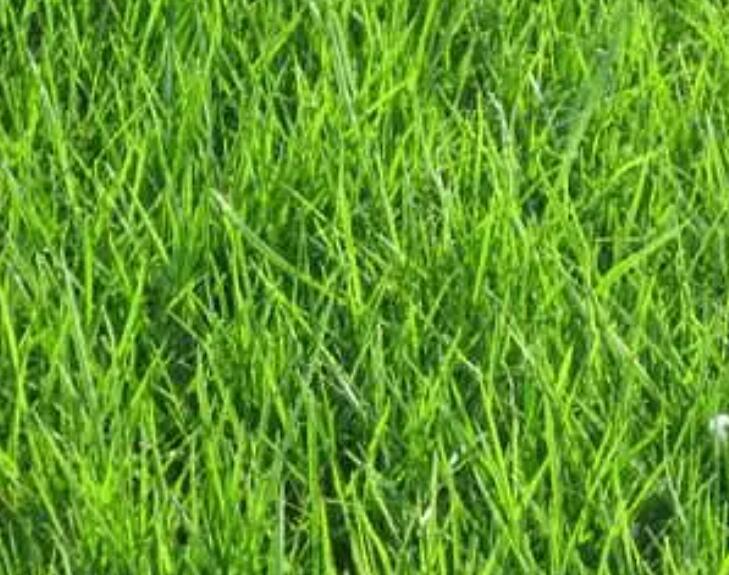 1657544350521235.jpg 1.jpg