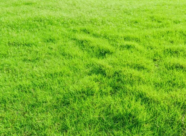 1657626297329624.jpg 1.jpg