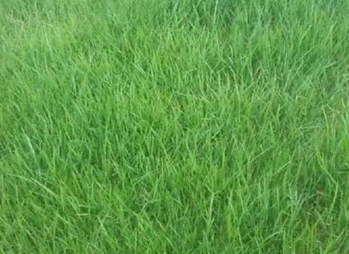 1657626947627403.jpg 1.jpg