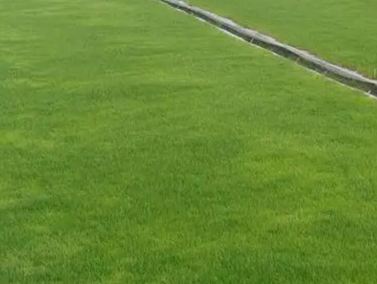 1657626954183008.jpg 2.jpg