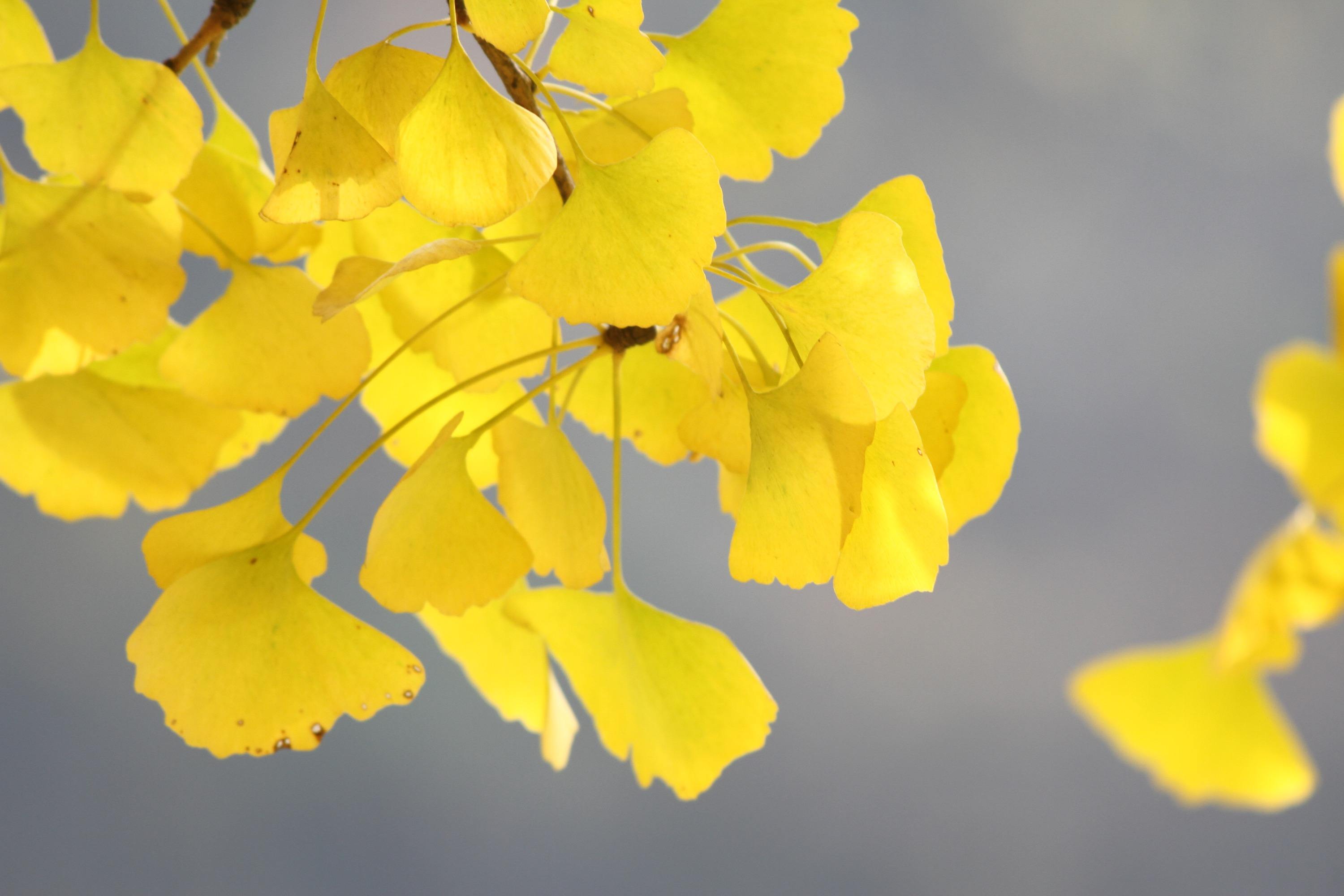 1659533188149709.jpeg 1659533188149709.jpeg