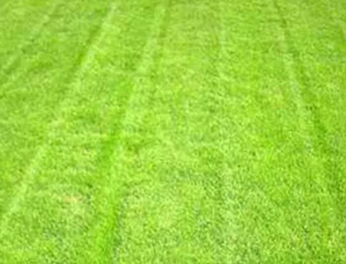 1659535488319493.jpg 1659535488319493.jpg