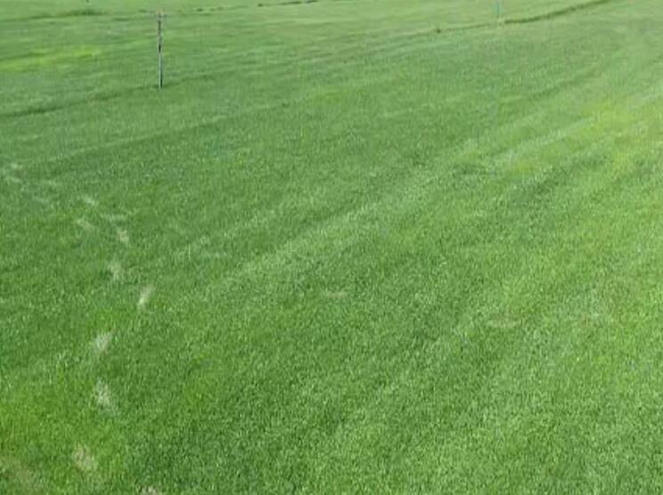 1659535501840788.jpg 1659535501840788.jpg