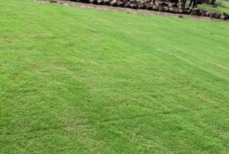 1659537215227435.jpg ooooooooooooooooooooo.jpg