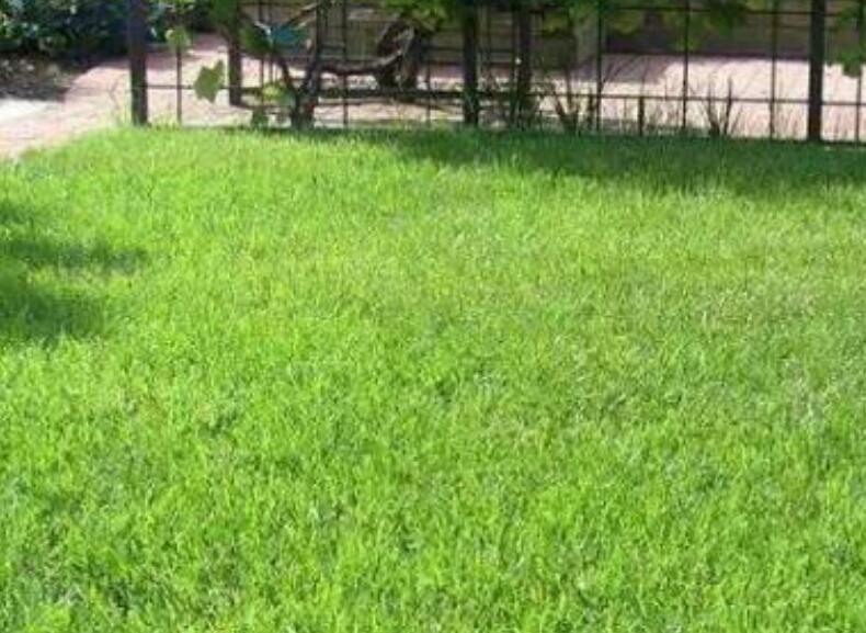 1659537325571121.jpg 99999999999999999.jpg