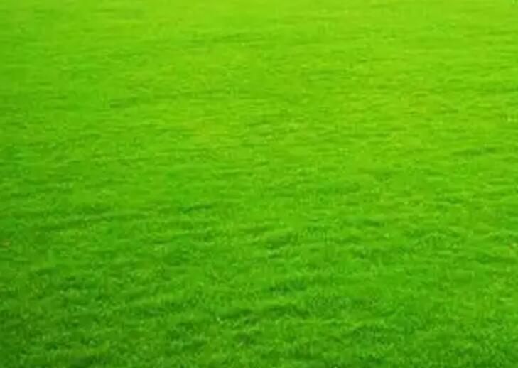 1659704679636971.jpg ppp.jpg