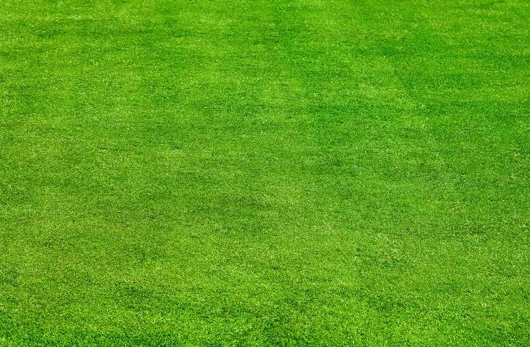 1659704699642096.jpg 888.jpg