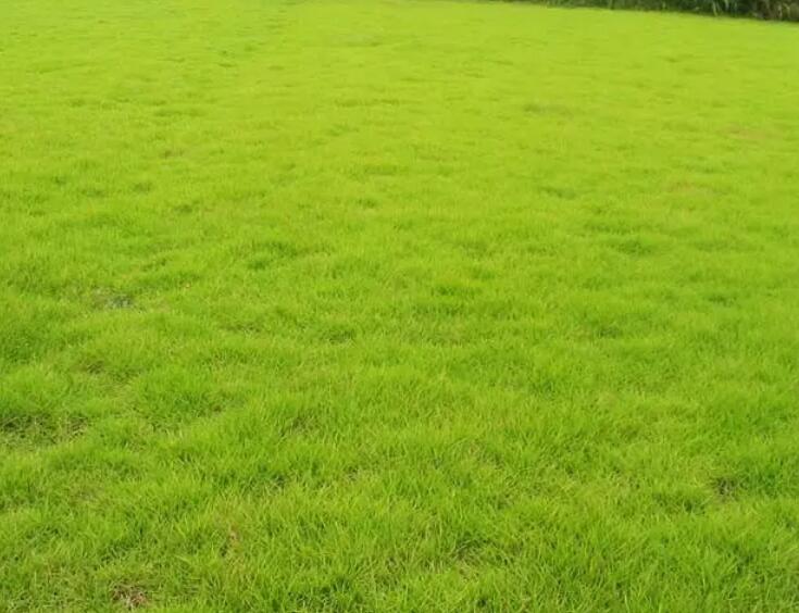 1659706608203449.jpg qqq.jpg