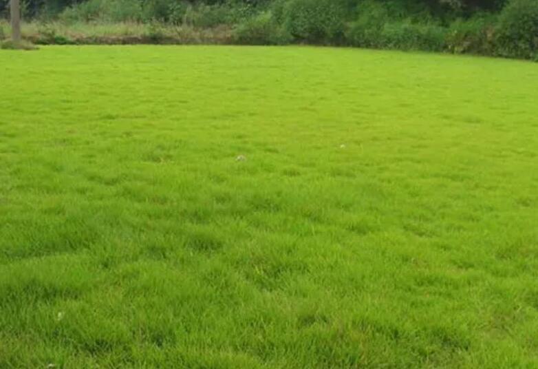 1659706754577464.jpg bbb.jpg