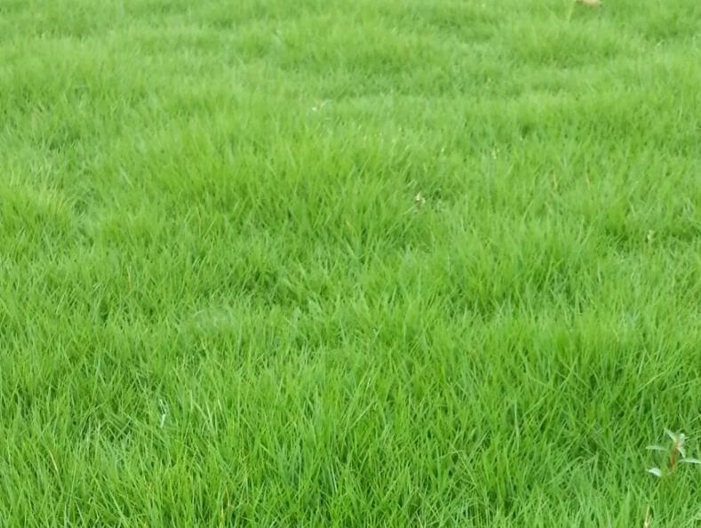 1659706823306085.jpg jjjjjjjjjjj.jpg