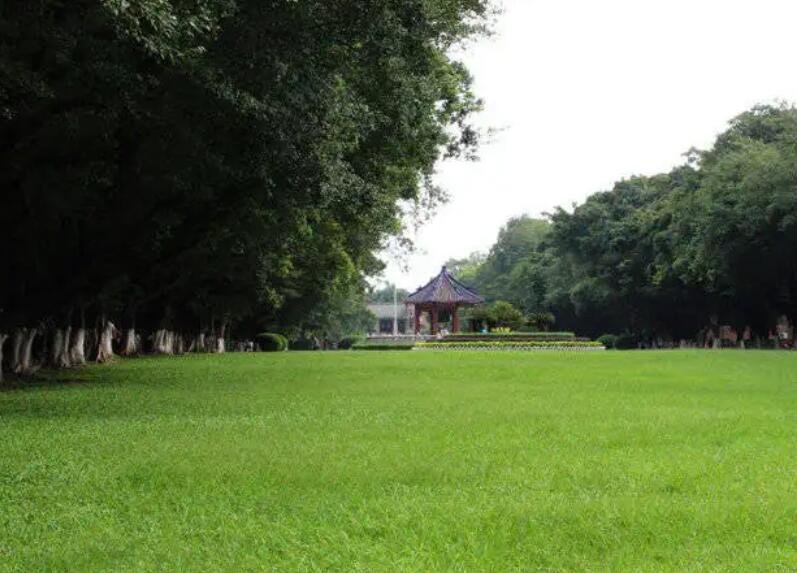 1659707405112035.jpg 3.jpg