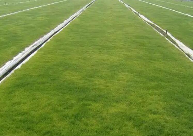 1659708271399762.jpg 1.jpg