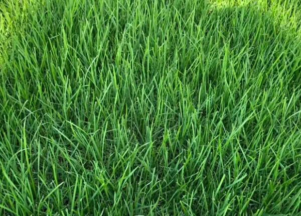 1659793635568259.jpg 1659793635568259.jpg