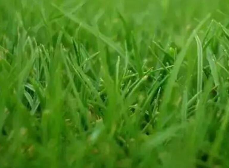 1659794371105125.jpg 2.jpg